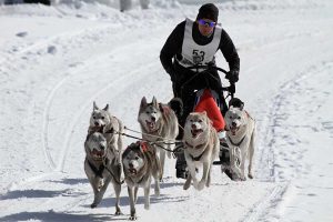 Quels sont les bienfaits de courir dans le froid ?