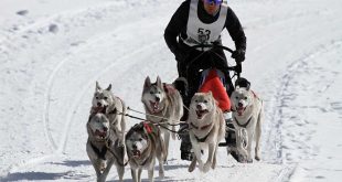 bienfait-courir-froid