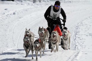 bienfait-courir-froid