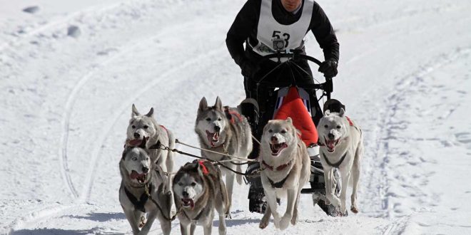 bienfait-courir-froid