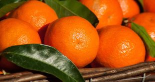 bienfaits-jus-clementine