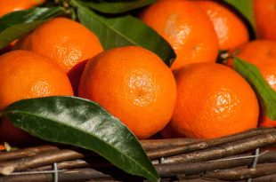 bienfaits-jus-clementine