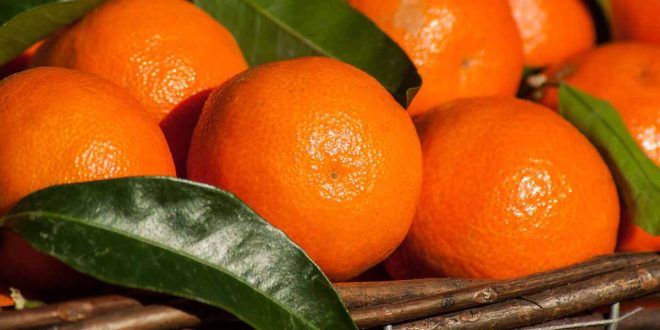 bienfaits-jus-clementine