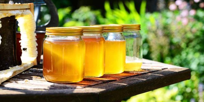 miel-manuka