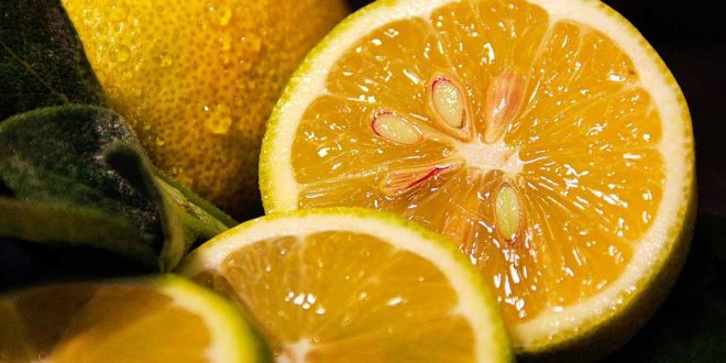 presse-citron